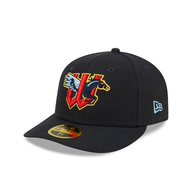 All Caps – Wichita Wind Surge Official Team Store