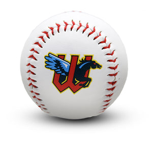 Wichita Wind Surge Home Logo Baseball